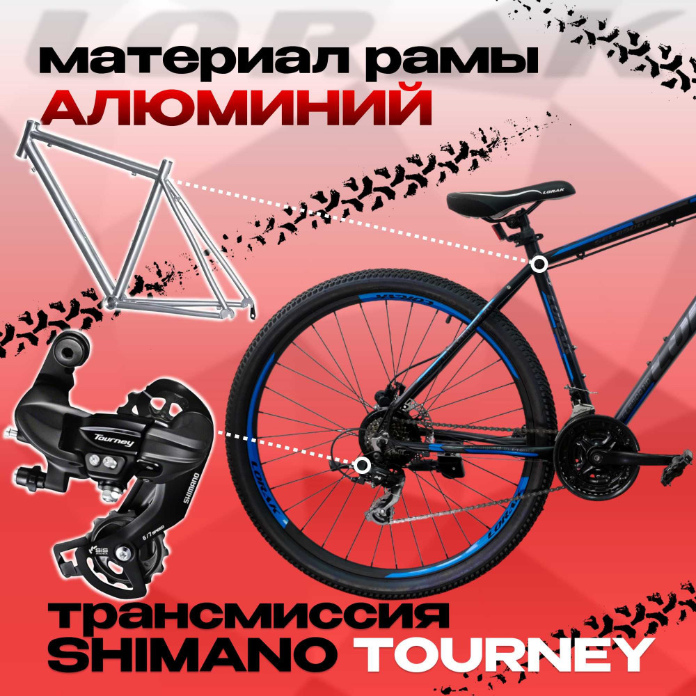 Lorak Sel 8900 HD Чёрный/Синий Матовый 19р (на рост 171-182)